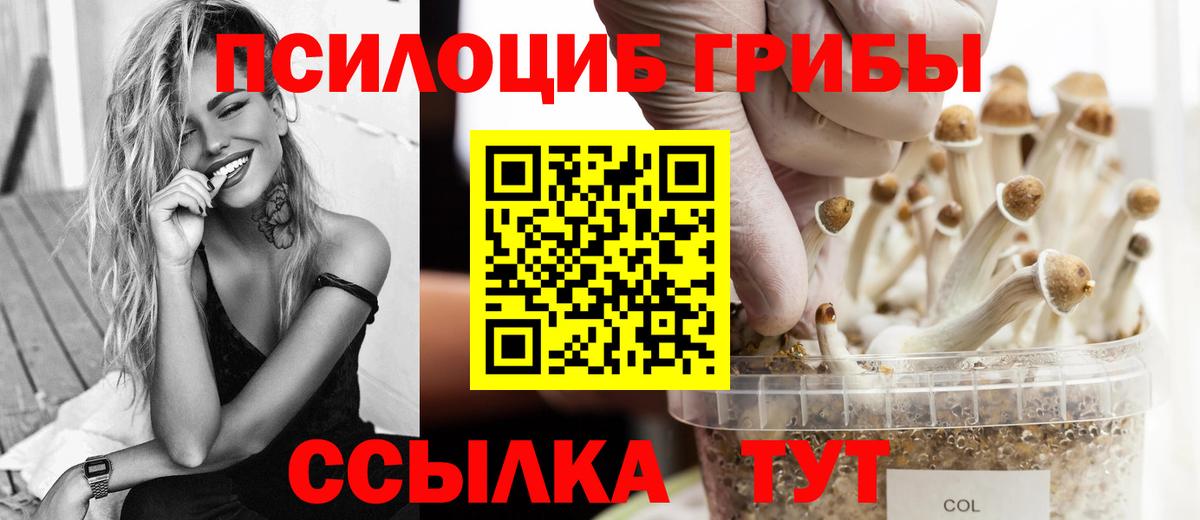 Галлюциногенные грибы MAGIC MUSHROOMS  Вход с VPN  Псилоцибиновые грибы мухоморы  Йошкар-Ола 