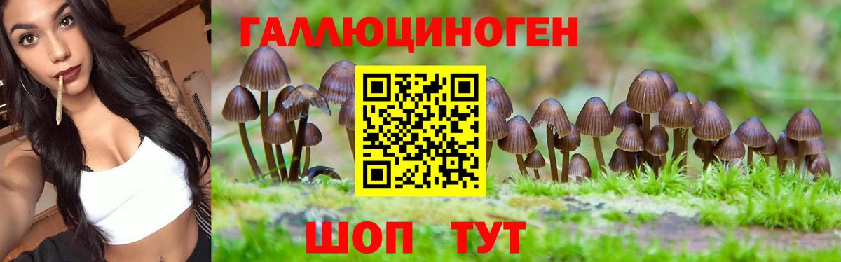 Псилоцибиновые грибы мухоморы Йошкар-Ола